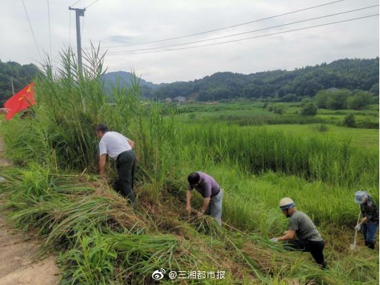 程力專用汽車股份有限公司